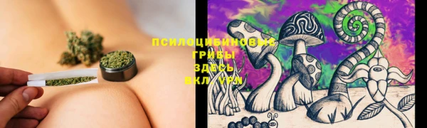метадон Алексин
