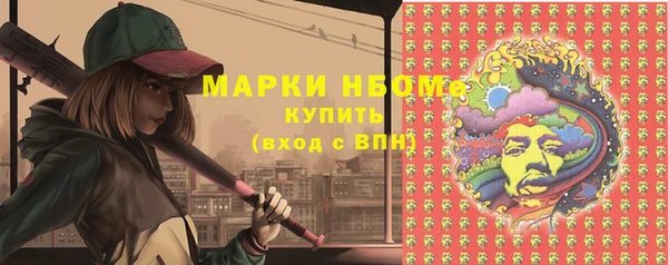 шишки Алзамай