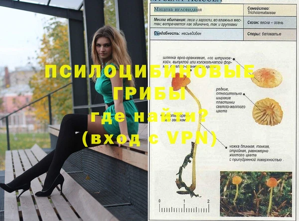 прущие грибы Алексеевка