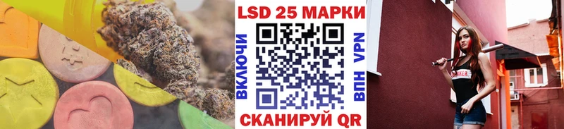 где найти наркотики  Камешково  Лсд 25 экстази ecstasy 