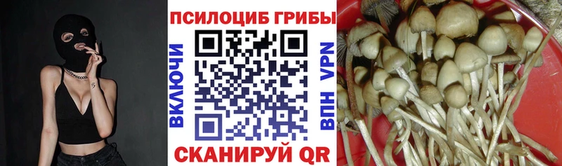 MEGA как войти Камешково Галлюциногенные грибы Magic Shrooms